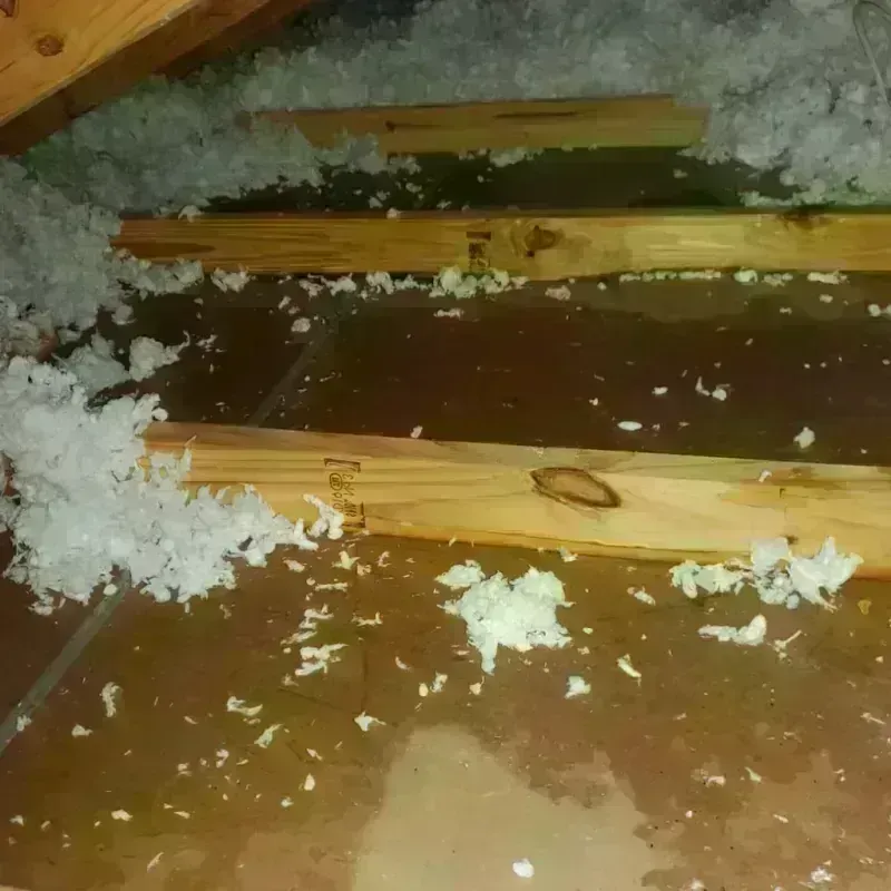 Attic Water Damage in Edgewood, IN